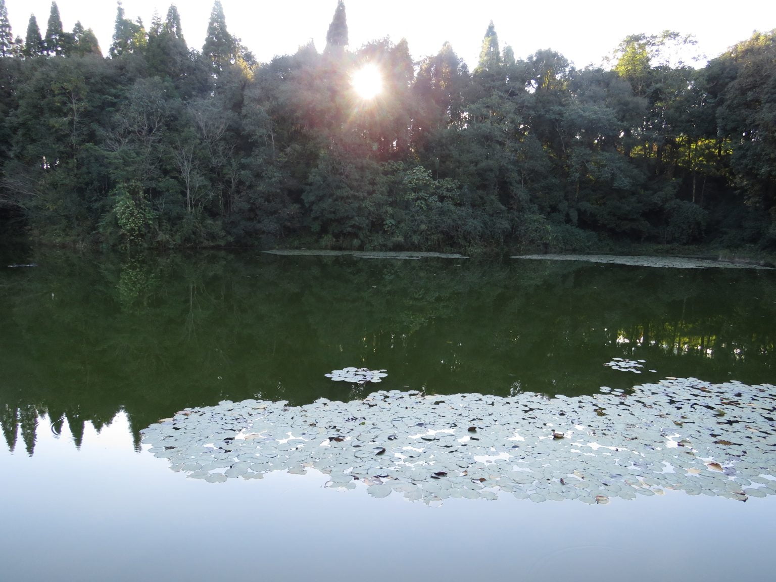 Maipokhari Ilam Land Nepal