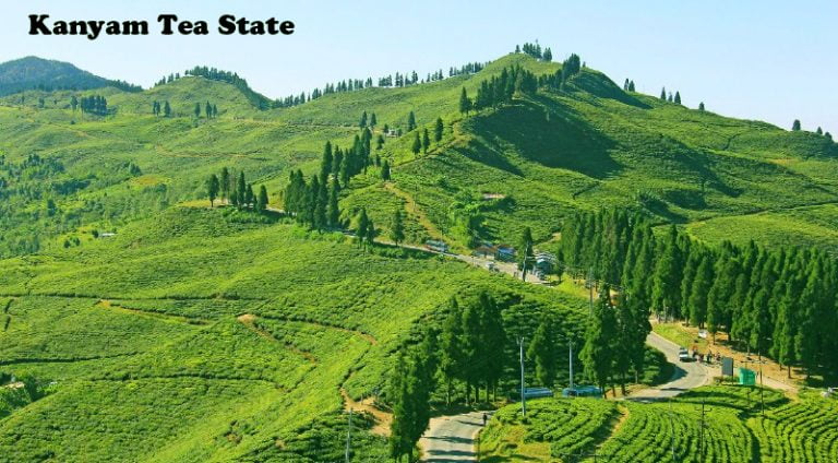 Kanyam Tea State