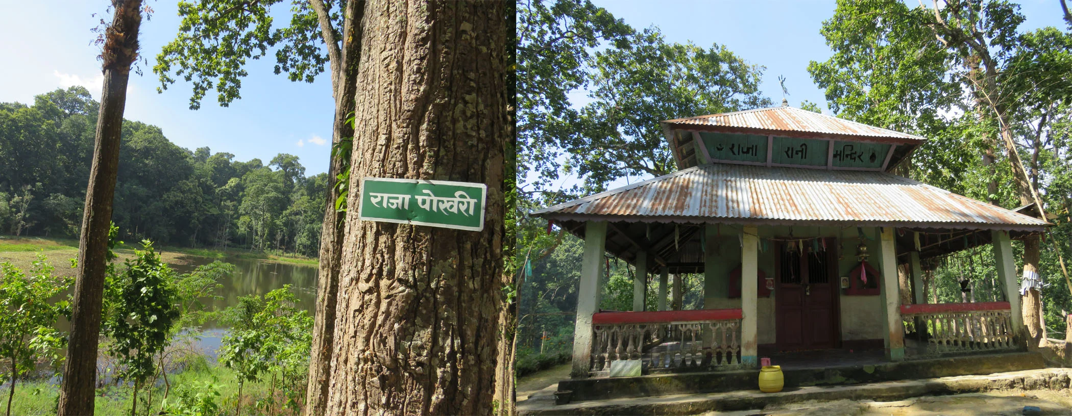 Raja Rani Letang