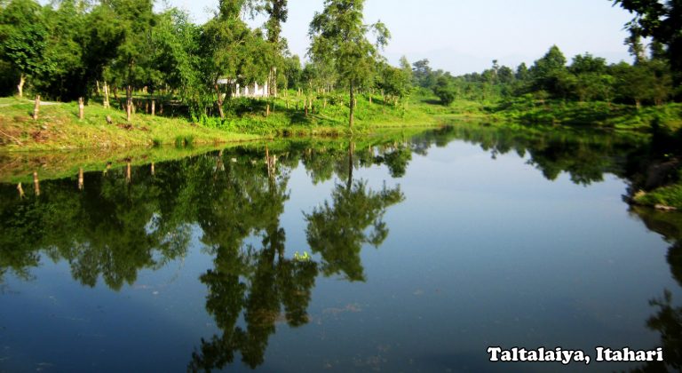 Taltalaiya