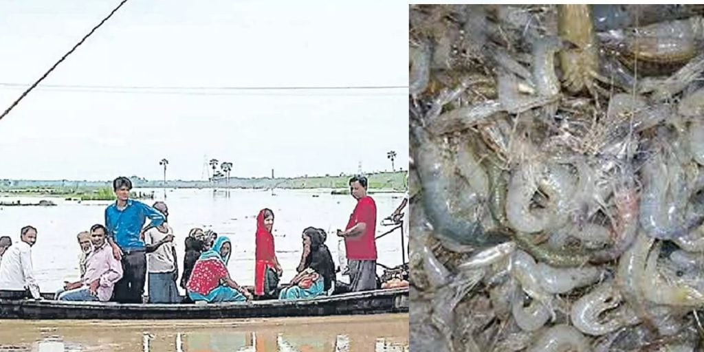 Fishing on koshi barrage
