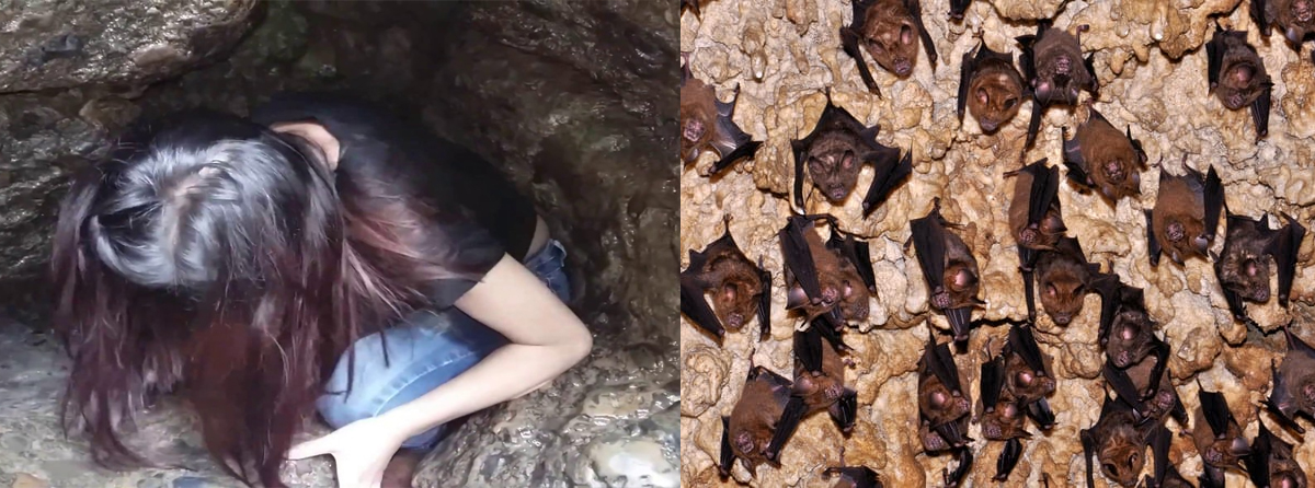 Bat's Cave